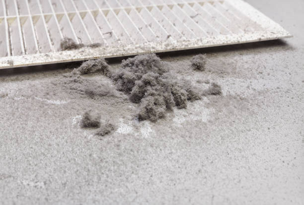 Best Air Duct Cleaning Near Me  in Clovis, NM