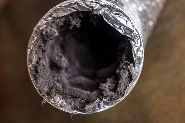 Best Affordable HVAC Duct Cleaning  in Clovis, NM
